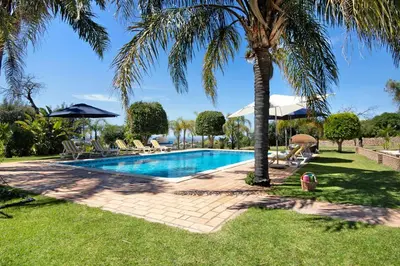 a swimming pool with a palm tree and grass at Country House Casa Da Avó in Loulé