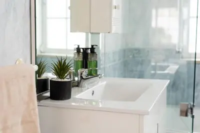 a bathroom sink with two bottles and plants on it at Casa Luna with Saltwater Pool in Olhos de Água