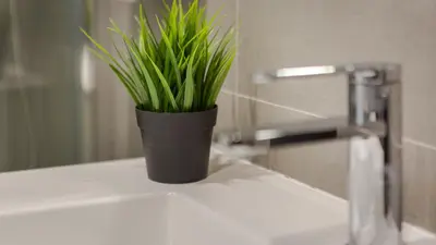 a potted plant sitting on top of a bathroom sink at La Liberdad Loft in Albufeira