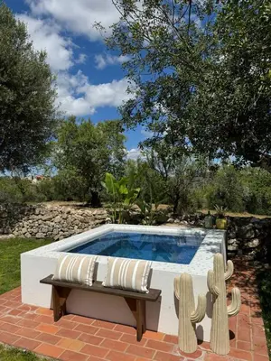 a swimming pool with a bench and cactus at Casa Nova Vida in Paderne