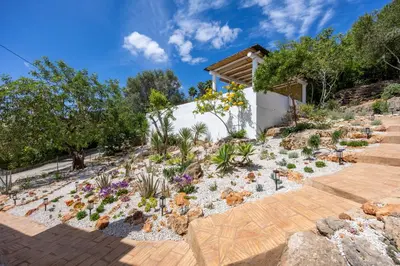 a garden with cacti and other plants at Casa Ladeira in Loulé