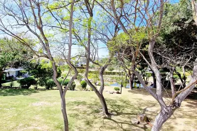 a group of trees in a yard with grass at Victory Village Club,Quinta do Lago in Loulé