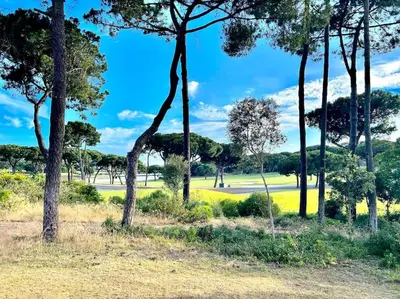 a group of trees in a park at Heart of Quinta do Lago ! in Faro