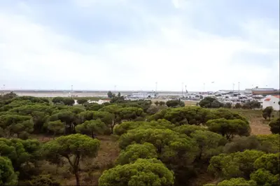 an aerial view of a field with trees at Blife RYA private rooms - Airport stay in Faro