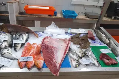 a display of different types of fish in a market at Beach Front Luxury T1 Apt Pools Garage Tennis in Albufeira