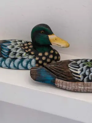 a plastic duck sitting on top of a shelf at white T1 - Ocean View in Albufeira