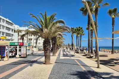 a street lined with palm trees on a beach at T3 - Casa Jerome in Quarteira
