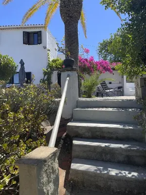 a set of stairs leading to a house with a palm tree at La Casa de Casa Estréla in Loulé