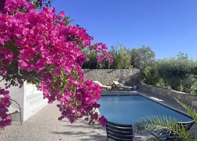 a swimming pool with purple flowers in a yard at La Casa de Casa Estréla in Loulé