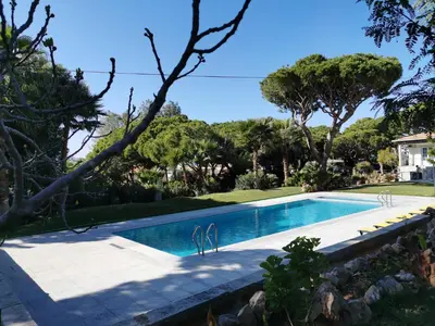 a swimming pool in a yard with trees at Villa com piscinas - Quintinha do Lago in Quarteira