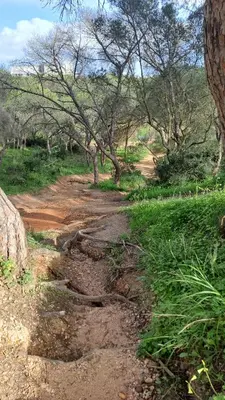 a dirt road in the middle of a field with trees at Praia da Falésia, O Melhor Estúdio da Aldeia das Acoteias in Albufeira
