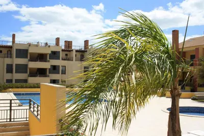 a palm tree in front of a building at Palm Breeze Terrace Vilamoura in Vilamoura