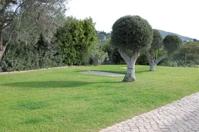 a park with two trees in the grass at Holiday home in Santa Barbara de Nexe - Algarve 51807 in Santa Bárbara de Nexe