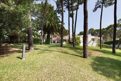 a lawn with palm trees in front of a house at Casa Isabella in Vilamoura