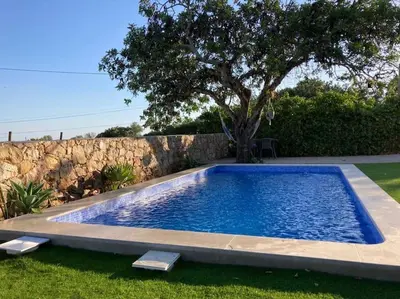 a swimming pool in a yard with a tree at Casa Herdeiro in Faro