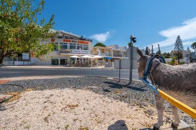 a statue of a horse standing next to a street at Apart Encosta S Jose - Piscina - Estacionamento in Guia