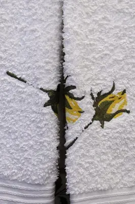a reflection of two leaves on a towel at Monte dos Avós in Querença