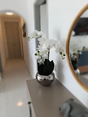 a vase with white flowers sitting on a counter at Casa Patricia in Albufeira