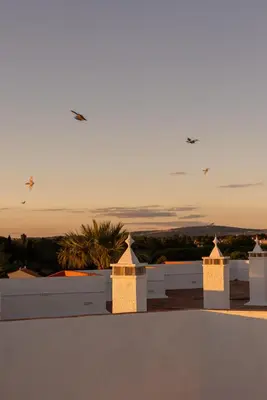 a view from the roof of a house with birds in the sky at Outsite Vilamoura in Quarteira