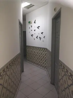a hallway with birds on the wall in a building at Residencial A Doca in Faro