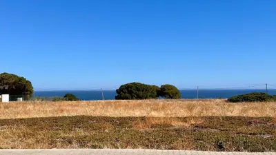 a field of brown grass with trees in the background at Casa Vela São Rafael in Albufeira