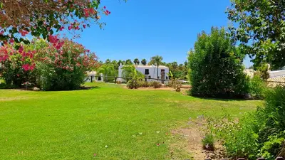 a yard with a house in the background at SÃO RAFAEL BEACH Apartment 55 in Albufeira