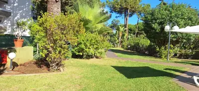 a yard with grass and trees and a sidewalk at Sun and Serenity in Albufeira