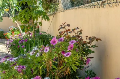 a bench sitting in front of a wall with a picture at Casa Laranjal in Albufeira