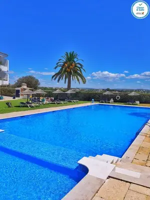 a large blue swimming pool with a palm tree in the background at Solar dos Vilarinhos - By bedzy in Albufeira