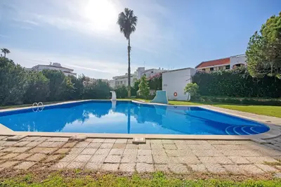 a swimming pool in a yard with a palm tree at Apartament Dita in Albufeira