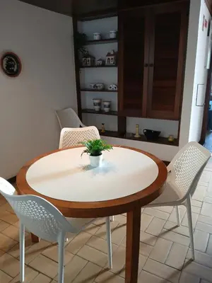 a dining room table and chairs with a plant on it at Apart. Barracuda in Vilamoura