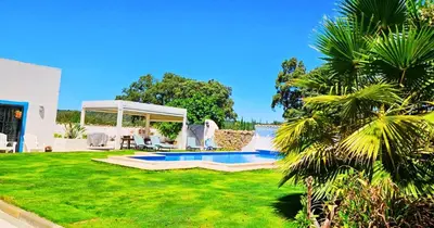 a backyard with a pool and a palm tree at Quinta Azul in Loulé