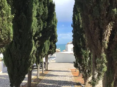 a row of trees on the side of a road at Old Town, Bay View Apartment in Albufeira