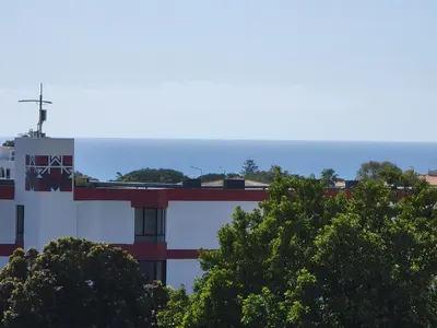 a building with trees in front of the ocean at Newly Remodeled 2BD Brilliant Oura Strip 9min beach in Albufeira