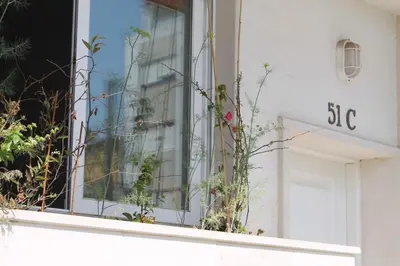 a window on the side of a building with plants at Lovely flat in the center in Faro