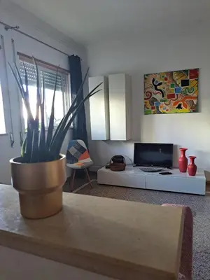 a living room with a potted plant on a table at Lovely flat in the center in Faro