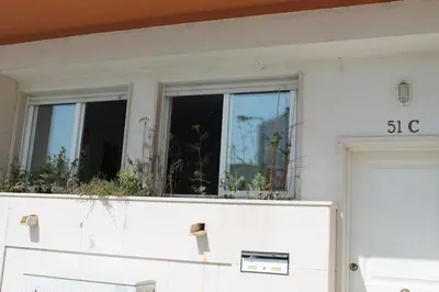 a building with a window with plants in it at Lovely flat in the center in Faro