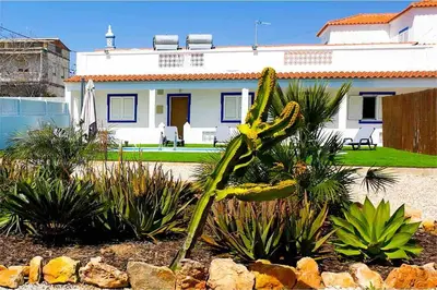 a plant in front of a white house at Villa Azul in Boliqueime