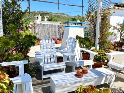 a garden filled with lots of plants and flowers at Casa da Aldeia in Santa Bárbara de Nexe