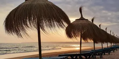 a row of beach umbrellas and chairs on the beach at Vale Parra Village By Cabritatur in Guia