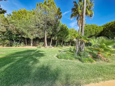 a field of grass with palm trees in the background at Jardins do Castelo - Piscina e tranquilidade - BY BEDZY in Albufeira