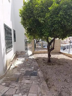 a tree sitting next to a sidewalk next to a building at Casa Gomez B in Albufeira