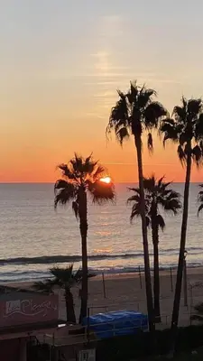 a sunset on the beach with palm trees at Fernandes Holidays in Quarteira