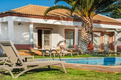 a house with a palm tree and a swimming pool at Villa Las Rosas in Albufeira