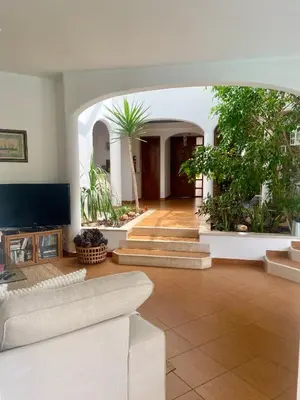 a living room with a couch and some plants at Villa Maria in Vilamoura