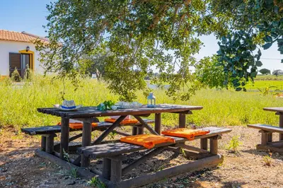 a picnic table under a tree in a field at Quinta da Bisa - Casa das Pedrinhas in Algoz