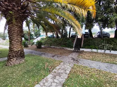 a bench sitting under a palm tree in a park at Albufeira INN - Vale Navio T2 in Albufeira