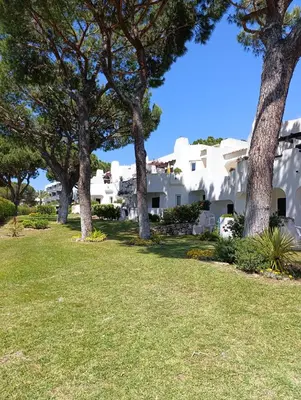 a row of trees in front of a white house at Balaia Golf Village 122 in Albufeira
