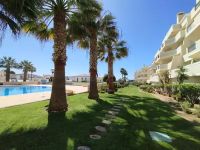a row of palm trees in front of a building at São rafael Ocean View in Albufeira