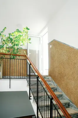 a staircase in a building with a plant at Dona Maria Guest House in Faro